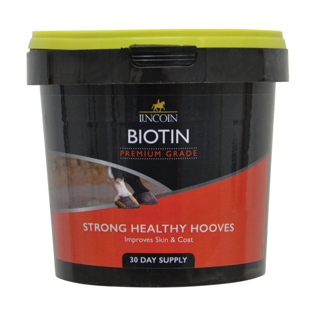 Lincoln Biotin 600g