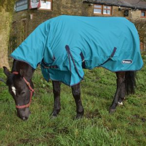 Whitaker R193 Rastrick 0G Combo Turnout Rug