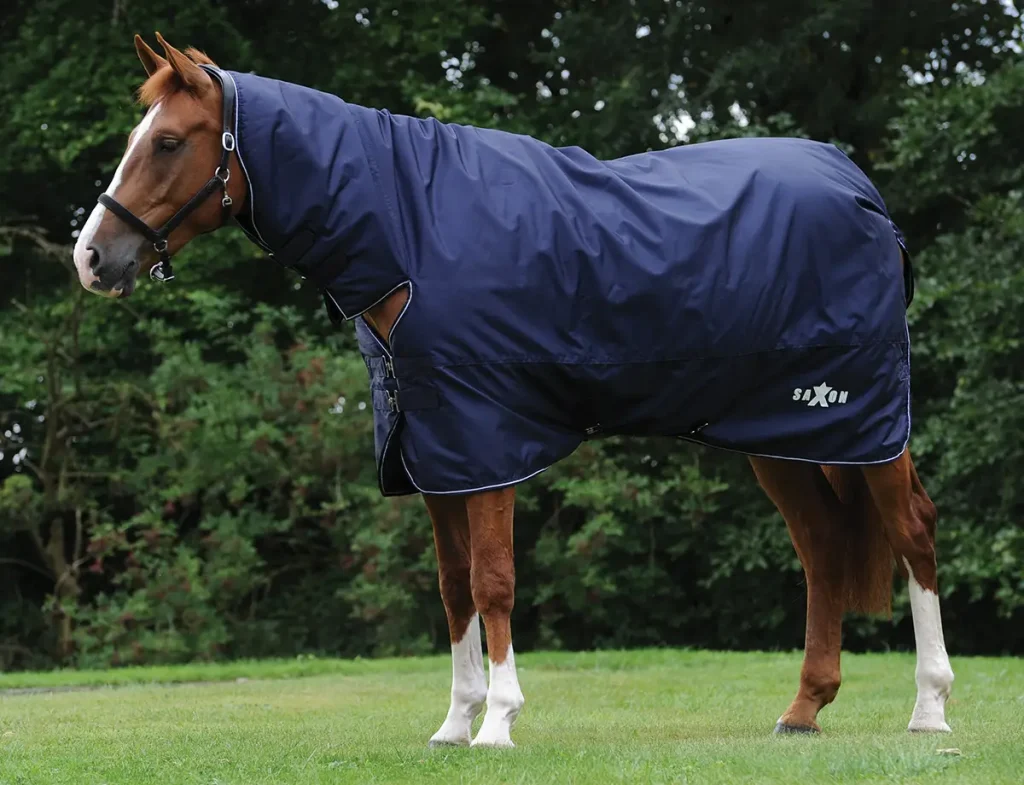 Saxon Defiant 200g 600D Combo Turnout Rug Sizes 6’0 to 7'0