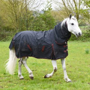 Rhinegold 350g ‘Aspen’ 1000 denier Combo Outdoor Rug 4'6 to 7'3