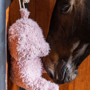 Kentucky Relax Horse Toy Bear