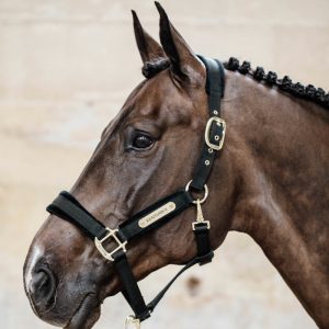 Kentucky Horsewear Velvet Head Collar