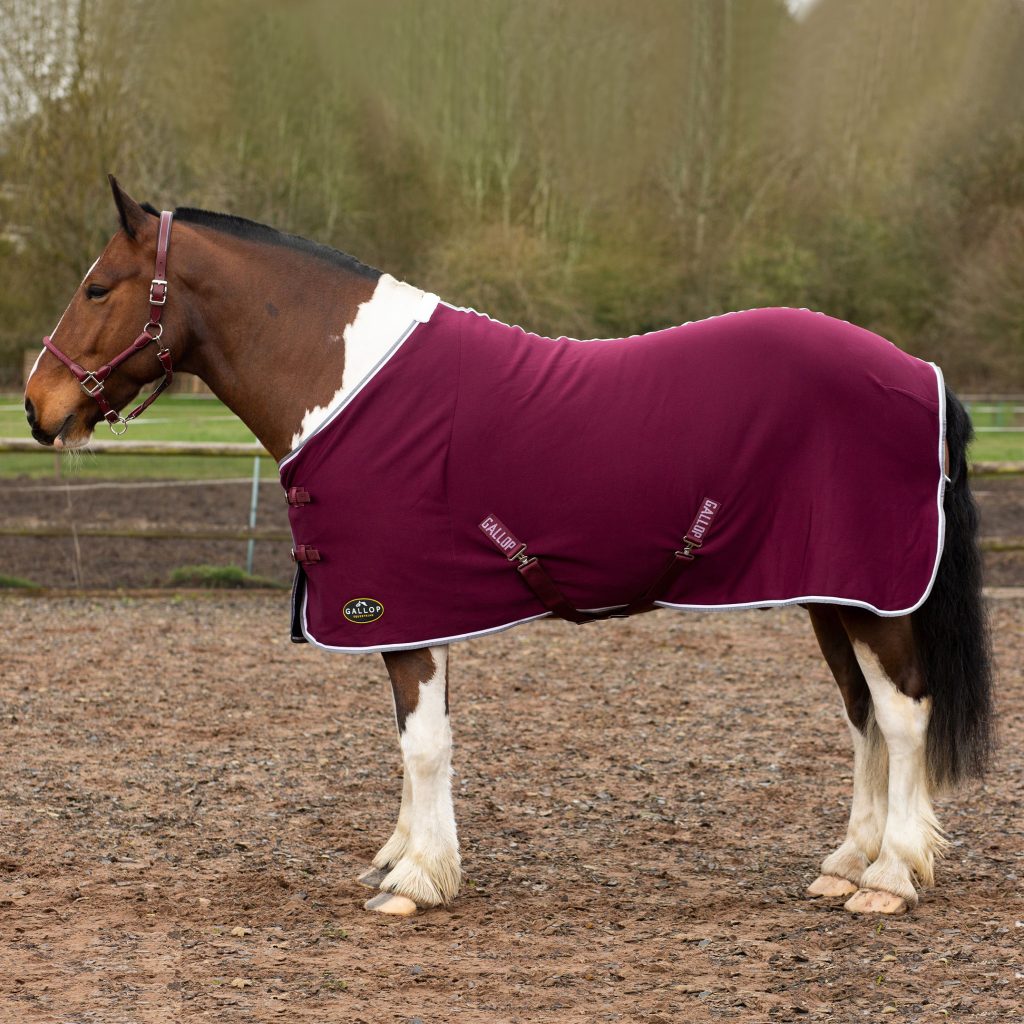 Gallop Burgundy Jersey Cooler Rug Sizes 3'6 to 7'0