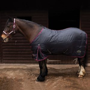 Gallop Trojan 50g Stable rug Black/Burgundy Size 7'0