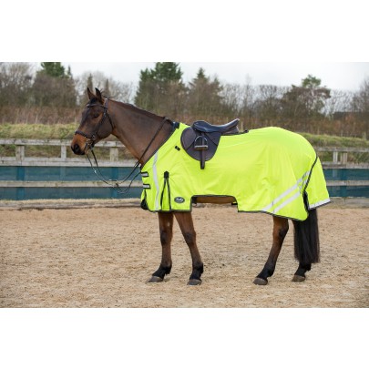 Gallop Ride-On Fly Mesh Rug & Neck Set - Image 3