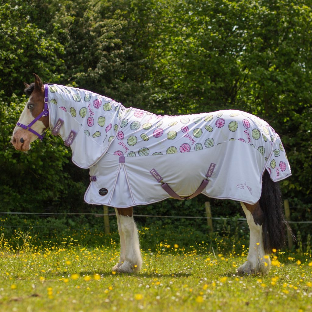 Gallop Sweet Treats Combo Fly Rug Size 7'0