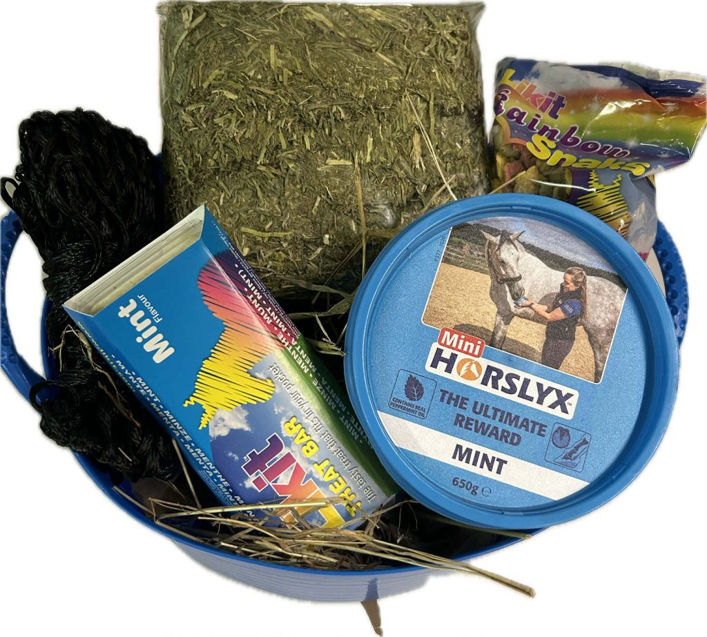 Christmas Treats Gift Hamper – Bucket