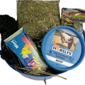 Christmas Treats Gift Hamper – Bucket