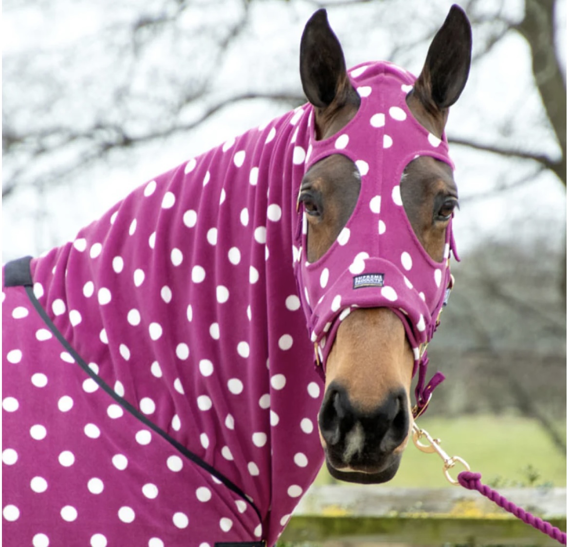 Supreme Products Dotty Fleece Hood Size 13'2 Mulberry ONLY - Image 5