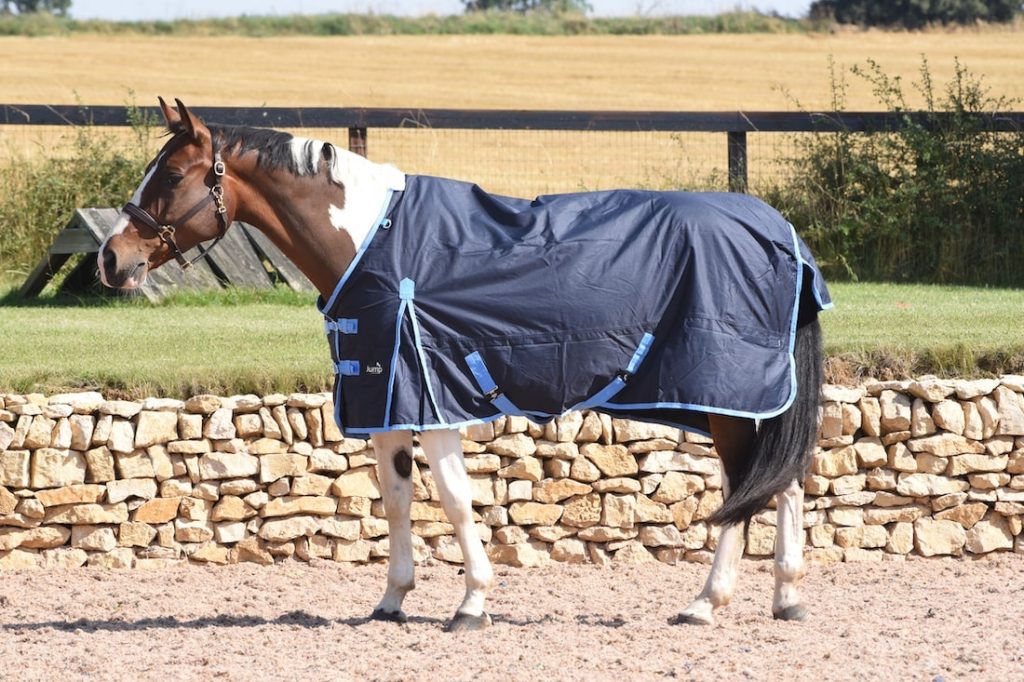 0g Jump No Fill Standard Lightweight Turnout Rug Sizes 5'3 to 7'0
