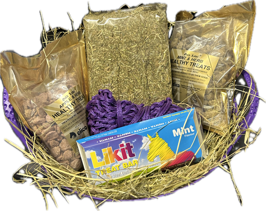 Christmas Treats Gift Hamper – Bucket