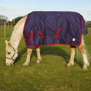 Rhinegold ‘Spot Torrent’ Outdoor Rug Sizes 4'6 to 5'3