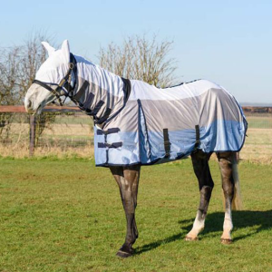 King Premium Fly Rug with Fly Mask Size 6'6
