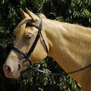 Windsor Leather Bridle With Cavesson Noseband