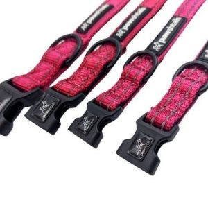 Pawshtails Dog Collar - Pink