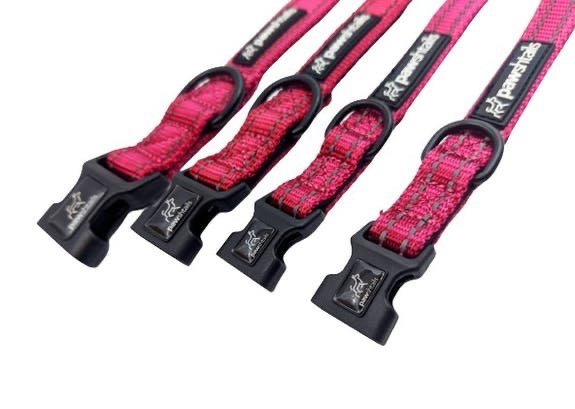 Pawshtails Dog Collar - Pink