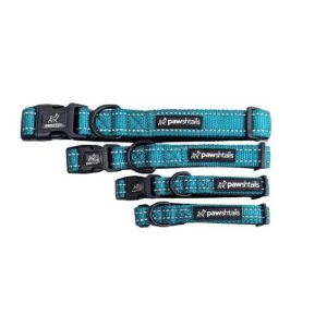 Pawshtails Dog Collar - Teal