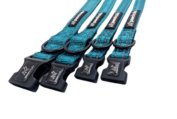 Pawshtails Dog Collar - Teal - Image 2