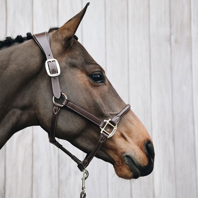 Kentucky Horsewear Anatomic Leather Head Collar - Image 4