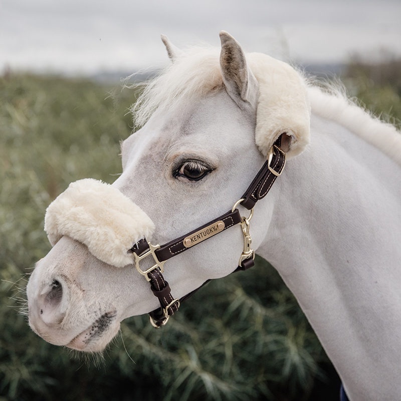 Kentucky Horsewear Leather Halter Sheepskin - Image 3