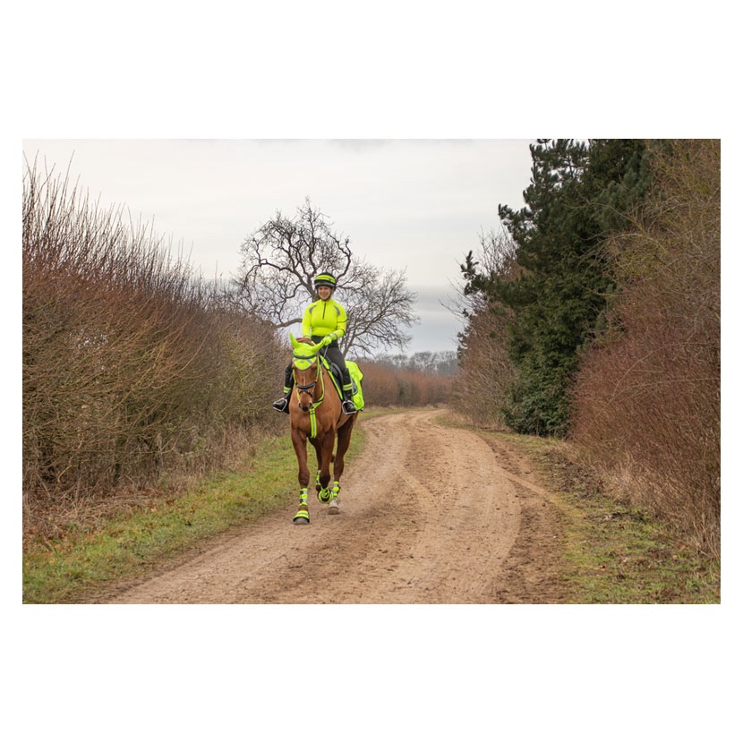 Reflector Base Layer by Hy Equestrian - Yellow