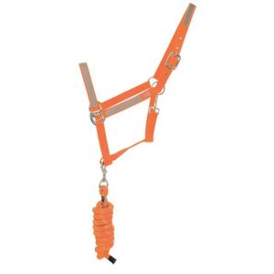 Reflector Head Collar and Lead Rope by Hy Equestrian - Orange