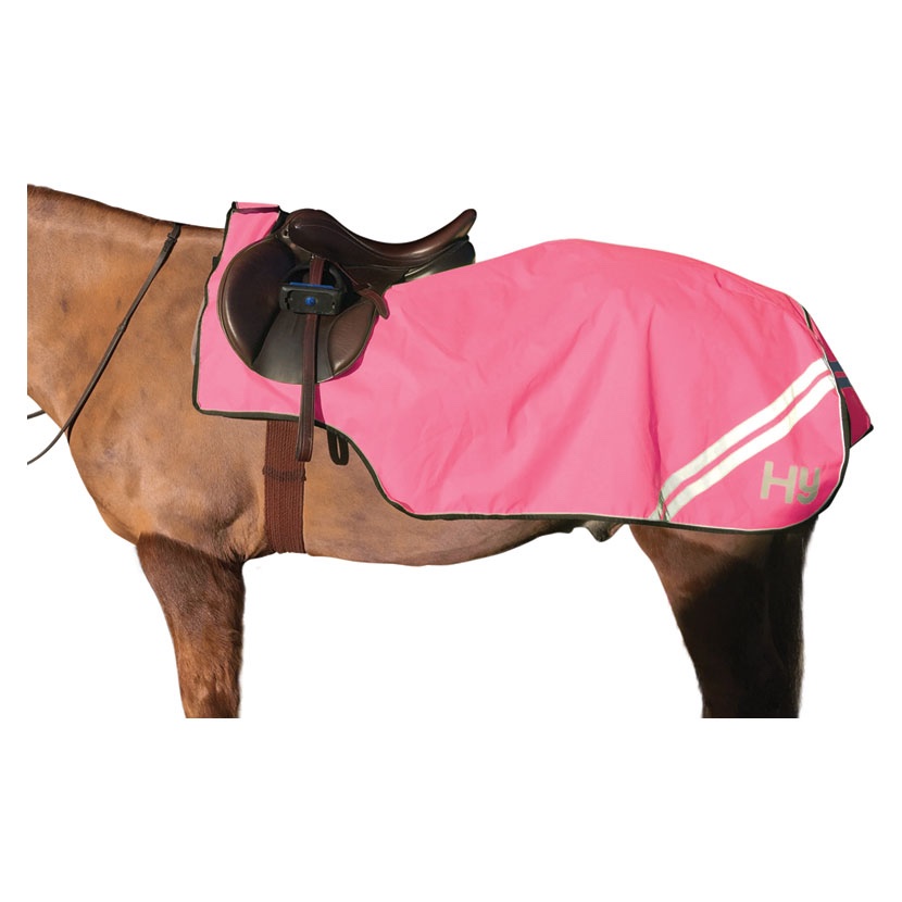 HyVIZ Reflector Exercise Sheet - Pink