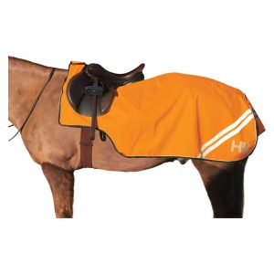 HyVIZ Reflector Exercise Sheet - Orange