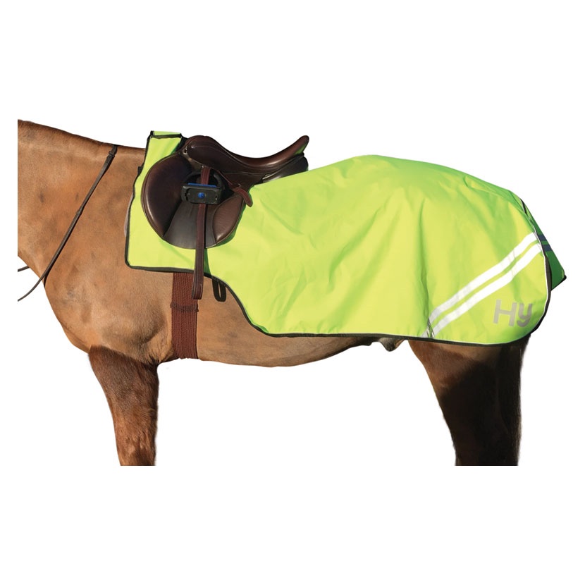HyVIZ Reflector Exercise Sheet - Yellow