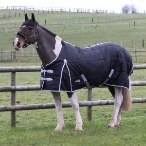 Fort 300g Stable Rug Standard 5'6 & 7ft