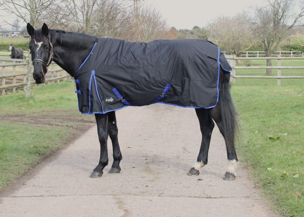 350g Turnout Standard Neck Rug Size 5'6