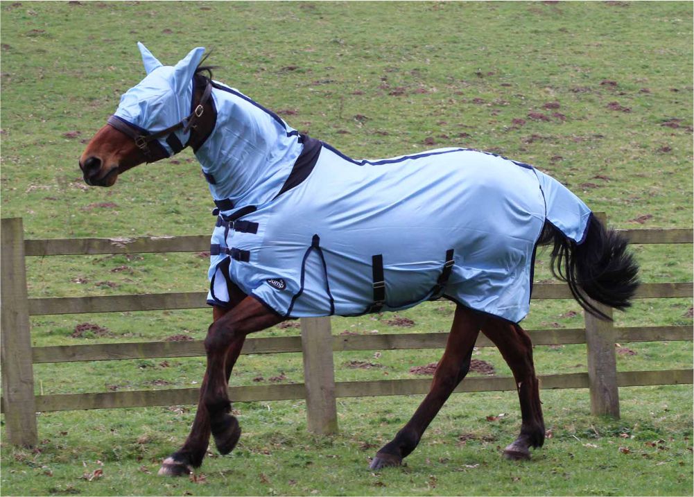 Jump Combo Fly Rug & FREE Fly Mask Anti Rub Lining Sizes 5'6, 5'9, 6'6 & 7'0 - Image 8
