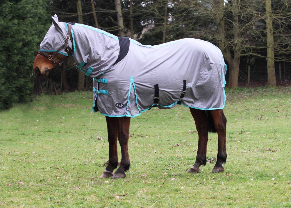 Jump Combo Fly Rug & FREE Fly Mask Anti Rub Lining Sizes 5'6, 5'9, 6'6 & 7'0 - Image 4