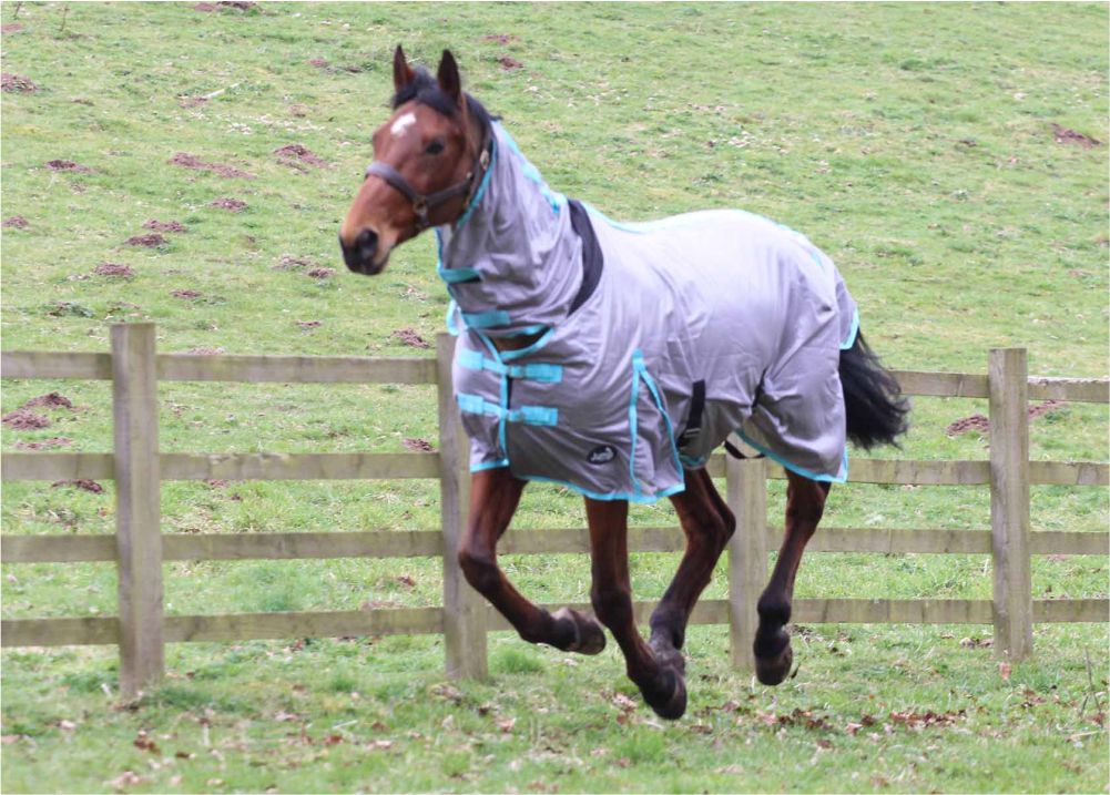 Jump Combo Fly Rug & FREE Fly Mask Anti Rub Lining Sizes 5'6, 5'9, 6'6 & 7'0 - Image 3