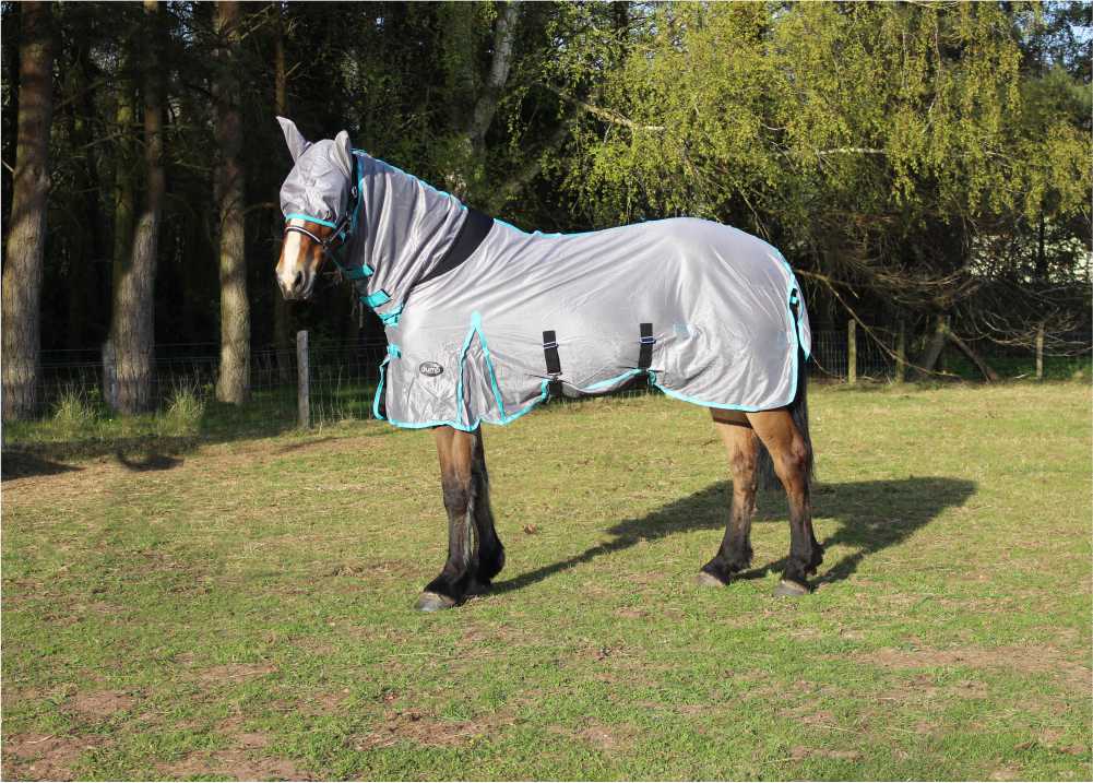 Jump Combo Fly Rug & FREE Fly Mask Anti Rub Lining Sizes 5'6, 5'9, 6'6 & 7'0 - Image 6