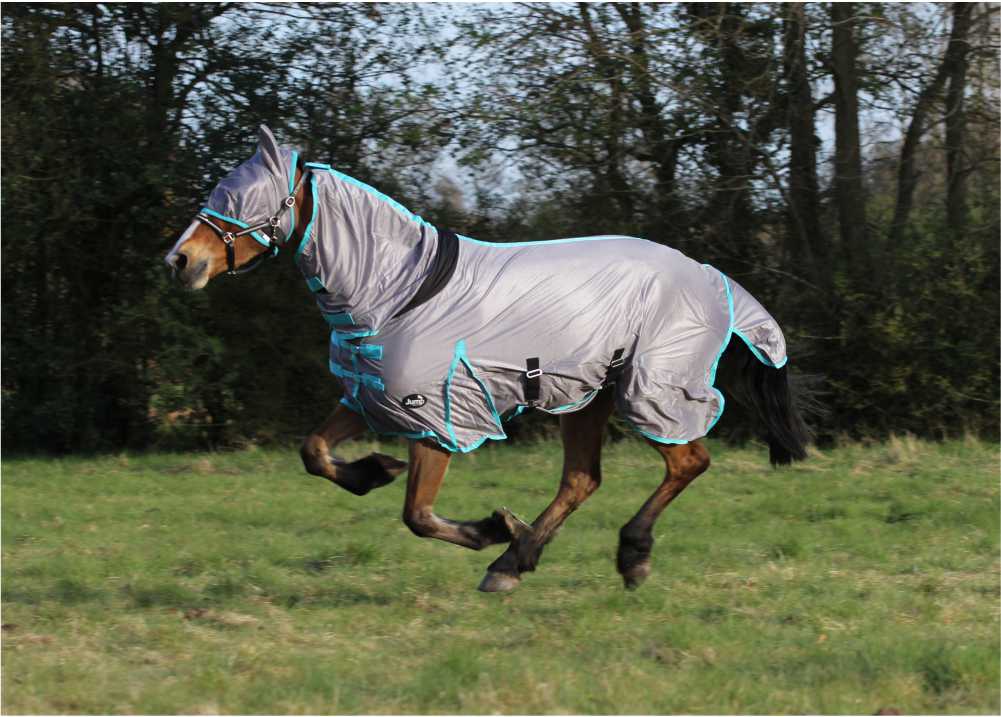 Jump Combo Fly Rug & FREE Fly Mask Anti Rub Lining Sizes 5'6, 5'9, 6'6 & 7'0 - Image 7