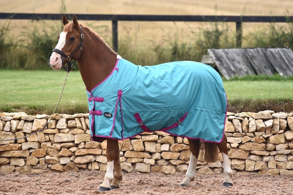 50g Standard Turnout Rug Sizes 5'3 to 7'0