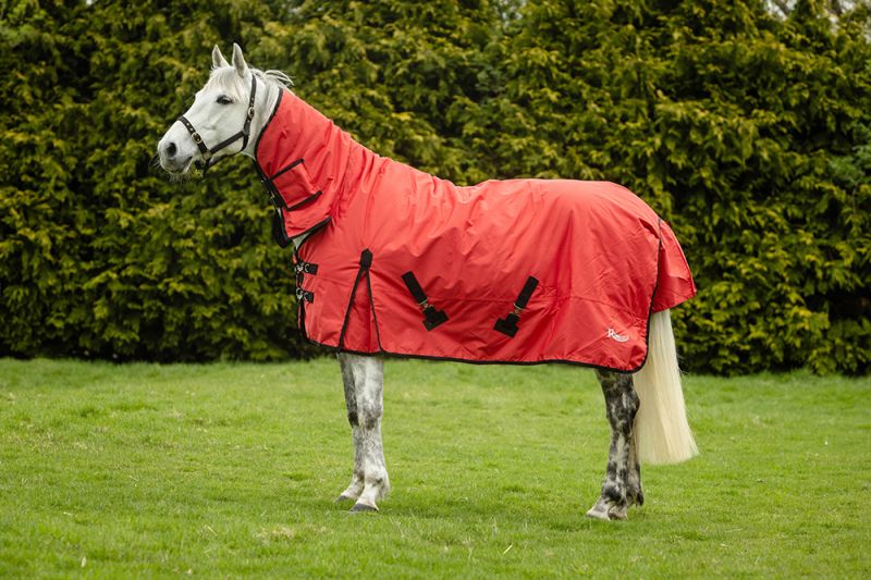 Rhinegold 200g Konig Combo Turnout Rug 4'6 to 7'3