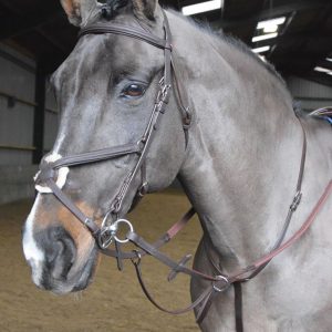 Whitaker Ready to Ride Running Martingale
