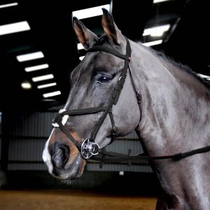 Whitaker Ready to Ride Mexican Bridle Black & Havana