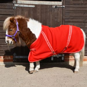 Rhinegold Mini Fleece Rug 3'6 to 4'3