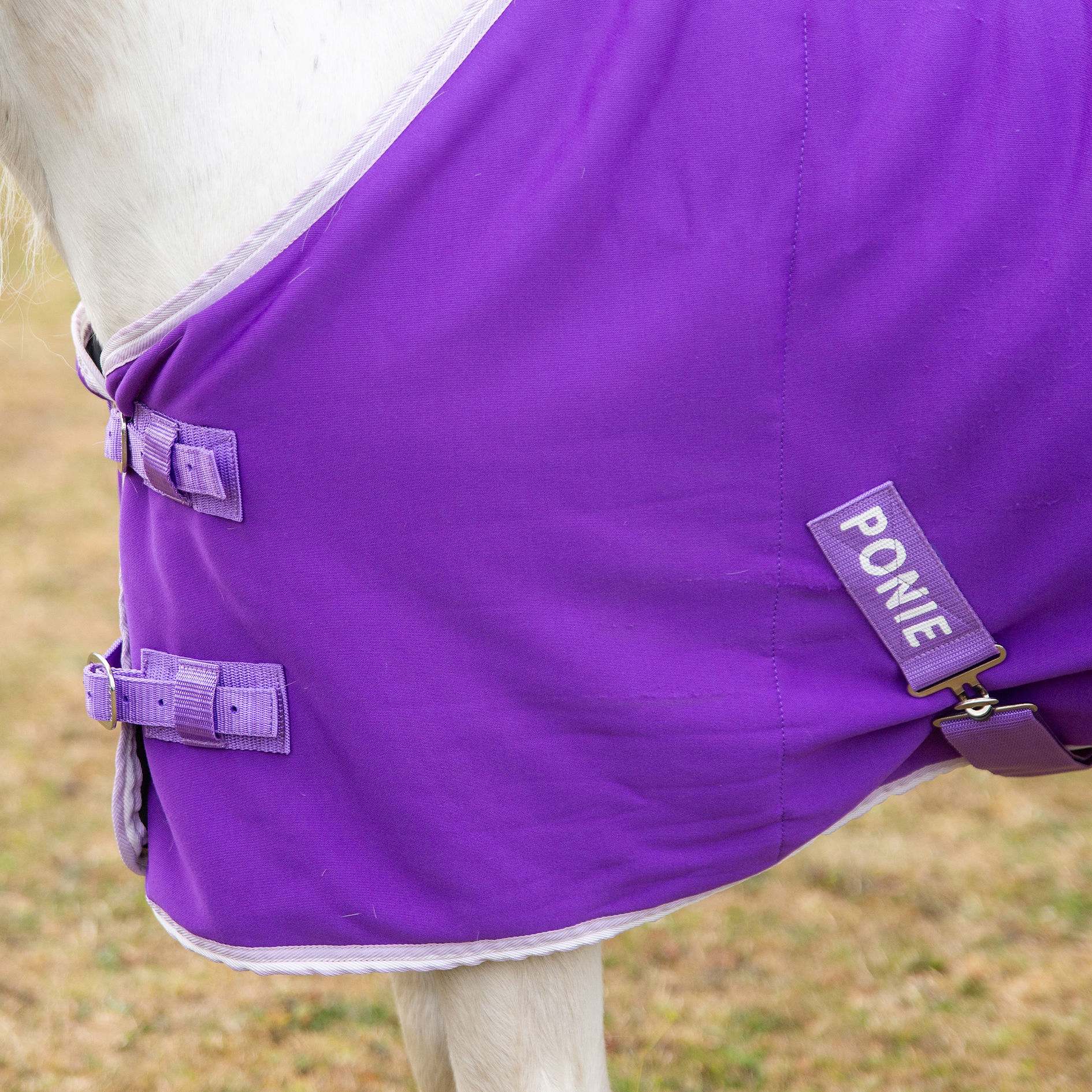 Gallop Purple Jersey Cooler Rug Sizes 3'6 to 7'0 - Image 2