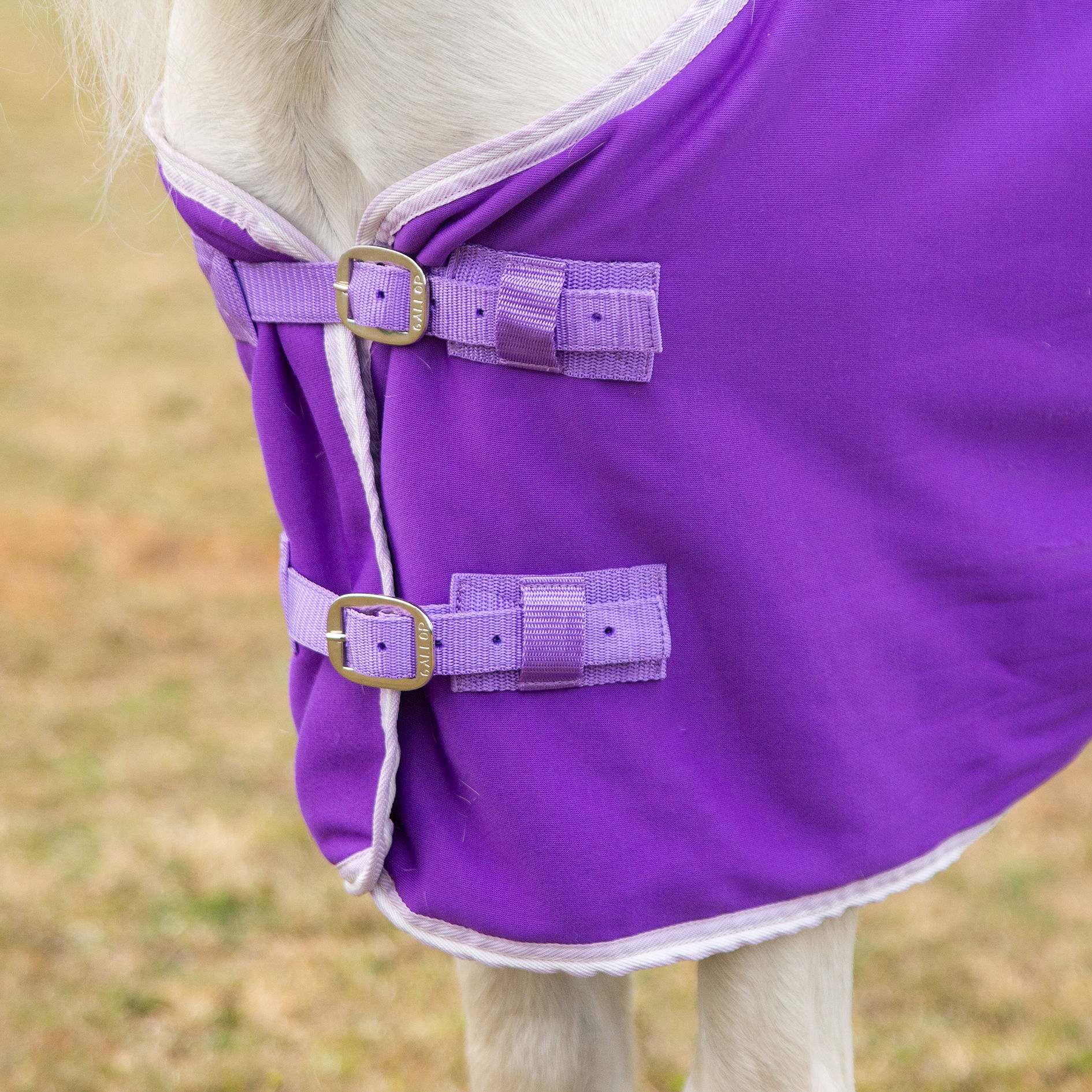 Gallop Purple Jersey Cooler Rug Sizes 3'6 to 7'0 - Image 3