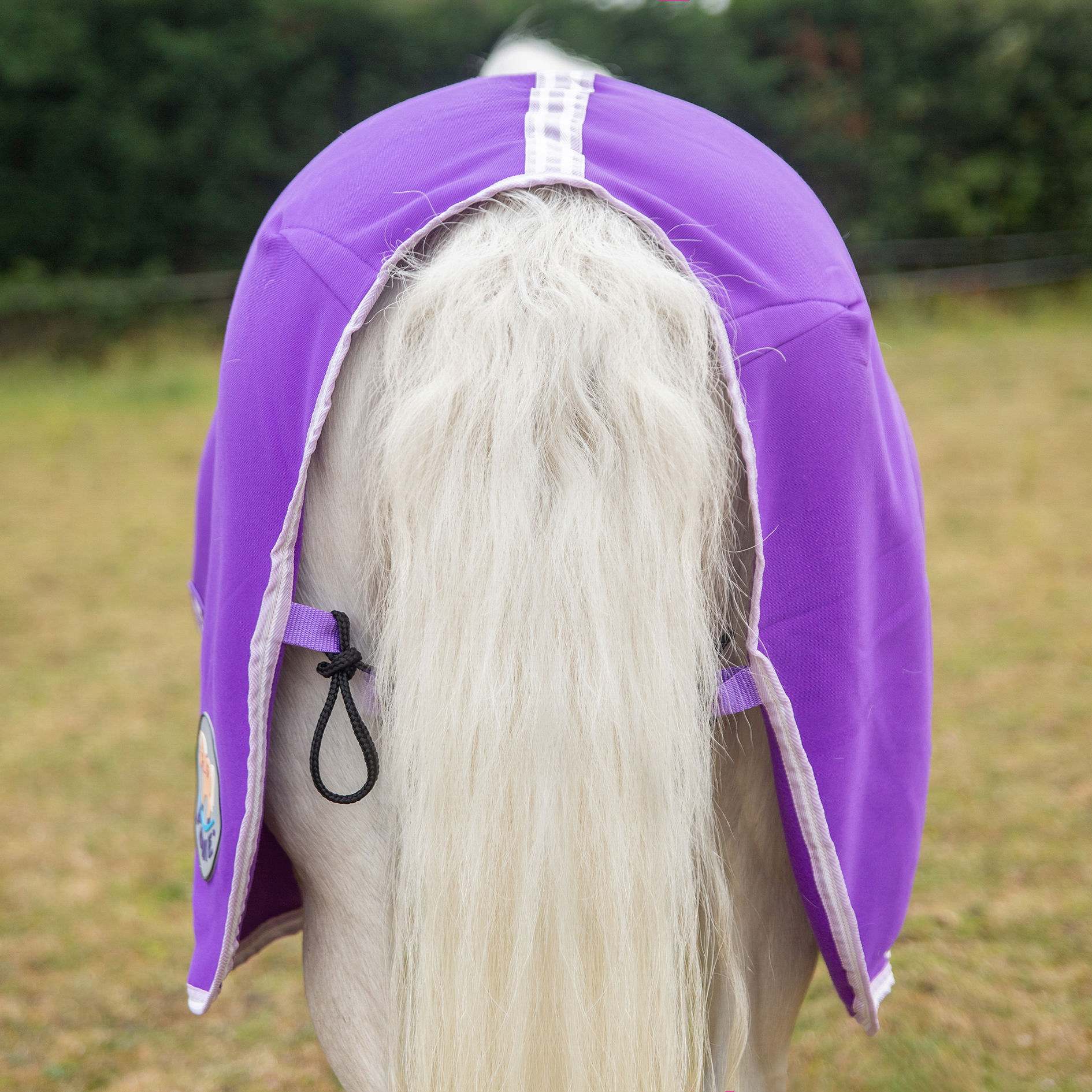 Gallop Purple Jersey Cooler Rug Sizes 3'6 to 7'0 - Image 5