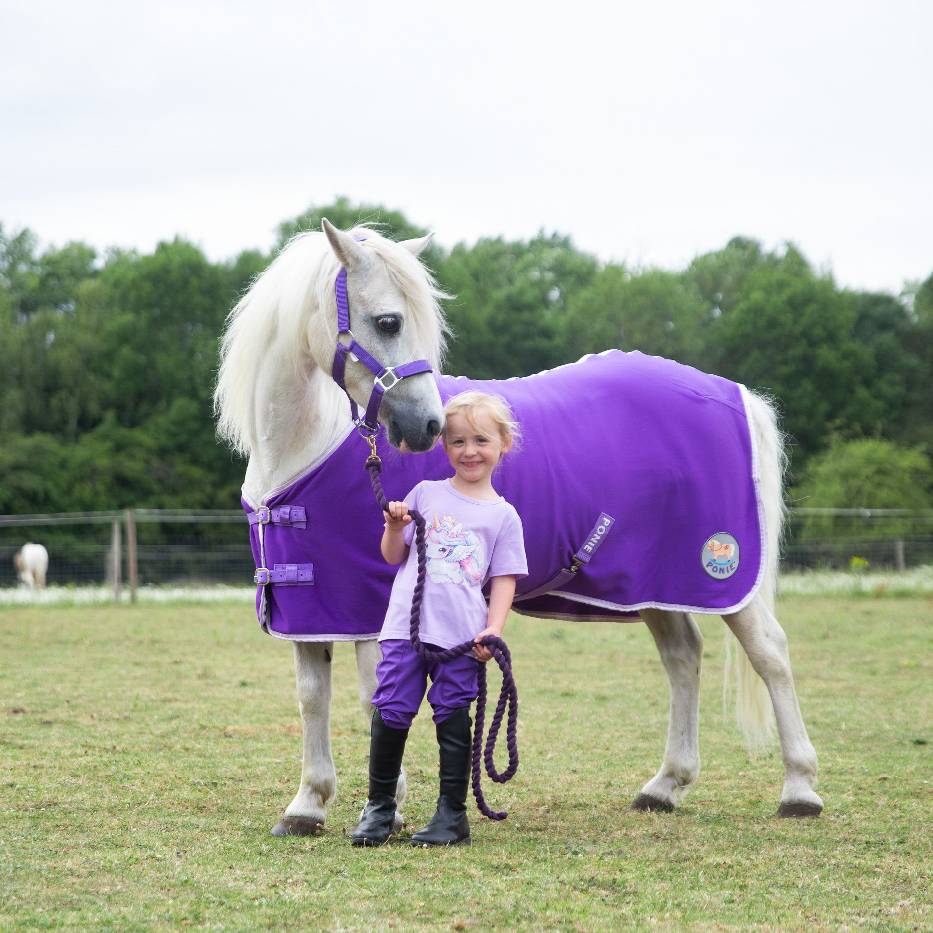 Gallop Purple Jersey Cooler Rug Sizes 3'6 to 7'0 - Image 6