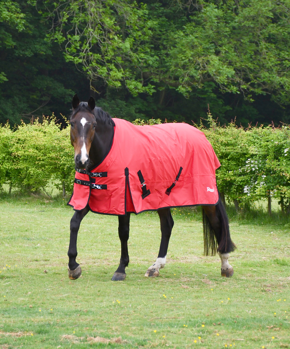 Rhinegold Breathable 200g ‘Konig’ Turnout Rug 4'6 to 7'3 - Image 2