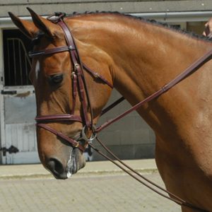 Whitaker TR Training Reins