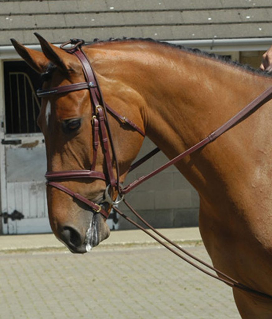 Whitaker TR Training Reins