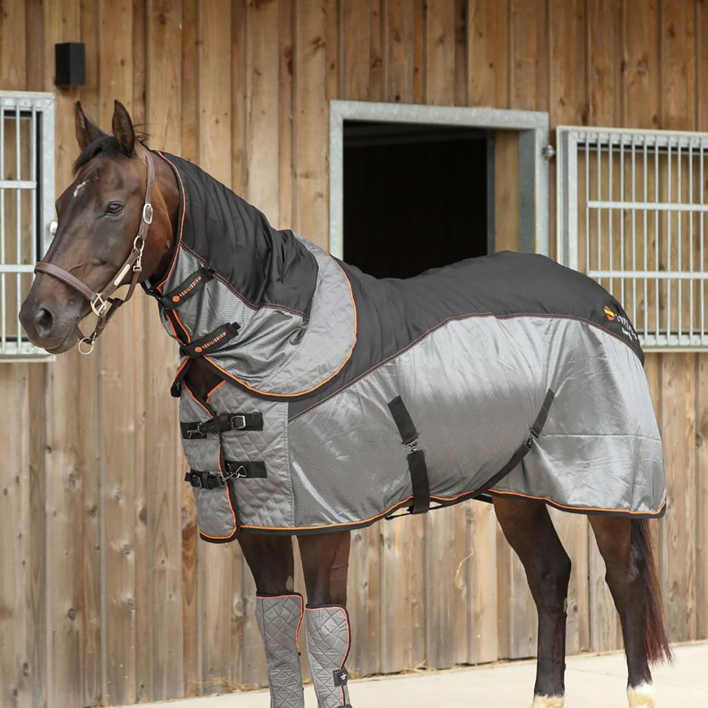 Equilibrium Therapy Magnetic Rug Size 5'6 to 6'9