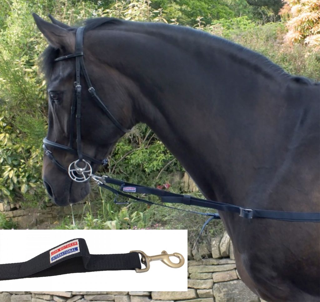 Whitaker Elasticated Side Rein Navy